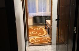 Apartament cu o cameră Buziașului