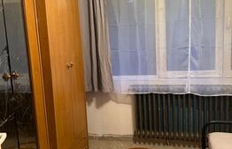 Apartament cu o cameră Buziașului