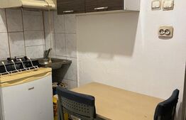 Apartament cu o cameră Buziașului