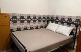 Apartament cu o cameră Buziașului