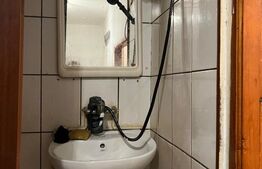 Apartament cu o cameră Buziașului