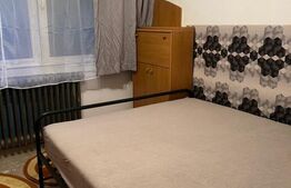 Apartament cu o cameră Buziașului