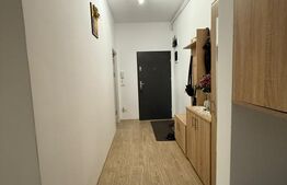Apartament de vanzare. 44 mp, zona Calea Urseni