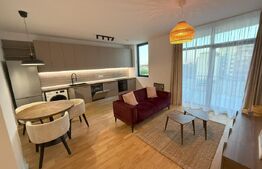 Apartament cu 2 camere, 52 mp, zona Take Ionescu (ISHO)