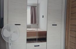 Apartament de vanzare, cu o camera, 23 mp, zona Buziasului