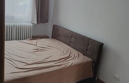 Apartament de vanzare, cu o camera, 23 mp, zona Buziasului