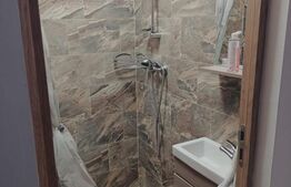 Apartament de vanzare, cu o camera, 23 mp, zona Buziasului