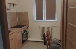 Apartament de vanzare, cu o camera, 23 mp, zona Buziasului