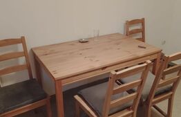 Apartament de vanzare, cu o camera, 23 mp, zona Buziasului