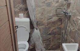 Apartament de vanzare, cu o camera, 23 mp, zona Buziasului