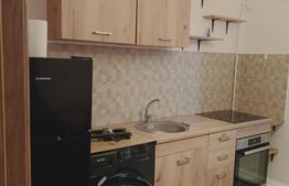 Apartament de vanzare, cu o camera, 23 mp, zona Buziasului