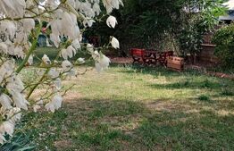 Apartament 3 camere Braytim la curte