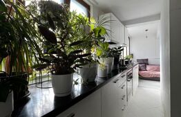 Apartament 3 camere Braytim la curte