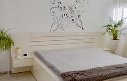 Apartament 3 camere Braytim la curte