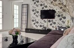 Apartament 3 camere Braytim la curte