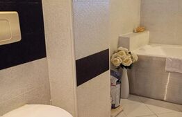 Apartament 3 camere Braytim la curte