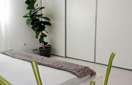 Apartament 3 camere Braytim la curte