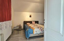 Casa individuala cu teren generos