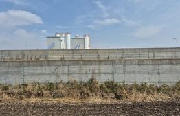 Teren Extravilan Dumbravita pentru investiei