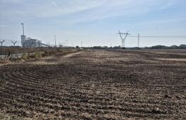 Teren Extravilan Dumbravita pentru investiei