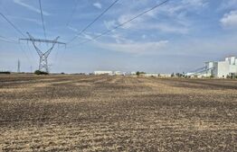 Teren Extravilan Dumbravita pentru investiei