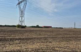 Teren Extravilan Dumbravita pentru investiei