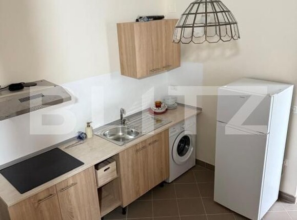 Casa de închiriat 3 camere Aradului - 177720CI | BLITZ Timișoara | Poza3