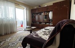 Apartament cu o cameră Buziașului