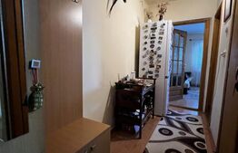 Apartament cu o cameră Buziașului