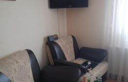 Apartament cu o cameră Buziașului