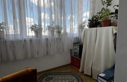 Apartament cu o cameră Buziașului