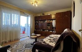 Apartament cu o cameră Buziașului