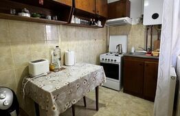 Apartament cu o cameră Buziașului