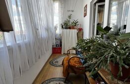 Apartament cu o cameră Buziașului