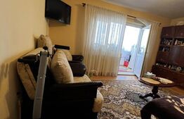 Apartament cu o cameră Buziașului