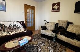 Apartament cu o cameră Buziașului