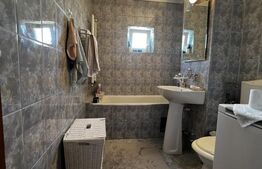 Apartament cu o cameră Buziașului