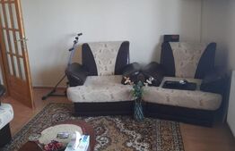 Apartament cu o cameră Buziașului