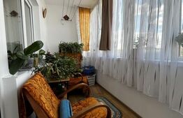 Apartament cu o cameră Buziașului