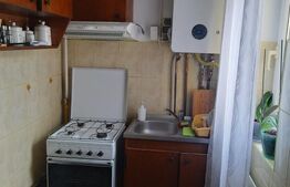 Apartament cu o cameră Buziașului