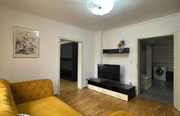 Vila de inchiriat 4 camere, curte generoasa, Zona Lipovei