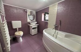 Vila de inchiriat 4 camere, curte generoasa, Zona Lipovei