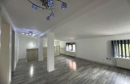 Vila de inchiriat 4 camere, curte generoasa, Zona Lipovei