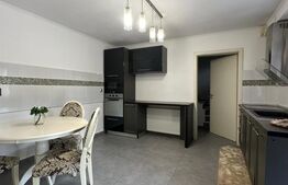 Vila de inchiriat 4 camere, curte generoasa, Zona Lipovei