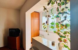 Apartament 1 cameră decomandat, 35 mp, zona Blascovici