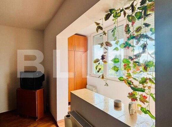 Garsonieră de vânzare Blascovici - 178496AV | BLITZ Timișoara | Poza1