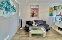 Apartament Studio, zona Simion Barnutiu 