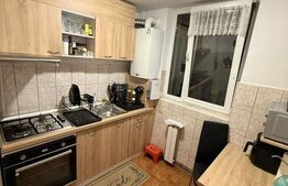 Apartament cu 3 camere , Sagului