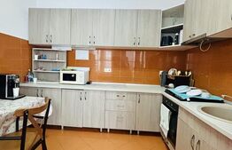 Casă cu 10 camere, ideala pentru locuință sau sediu firmă – Lunei