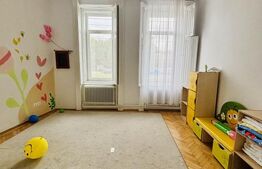 Casă cu 10 camere, ideala pentru locuință sau sediu firmă – Lunei